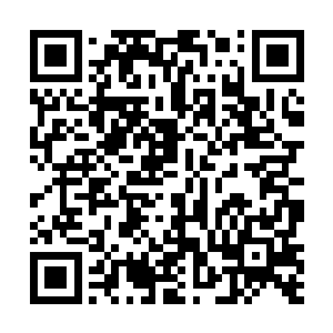 冷轩的眼中不由闪过一丝冷光如果袁忠是灵蛇堂的成员二维码生成