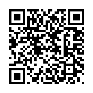 冷轩的视线中出现了一只小巧的火鸟二维码生成