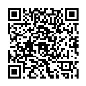 冷轩终于知道燕乘风为什么会那么重视这件事情了二维码生成