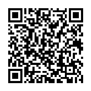 冷轩还在大街上看到了不少身穿统一服饰的巡逻队伍二维码生成