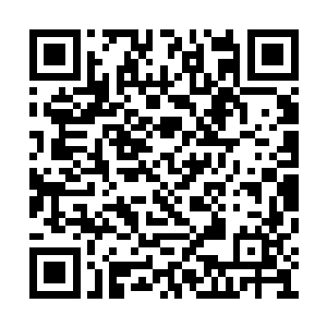 冷静地用手里的长刀一下一下地斩在游魂的身上二维码生成