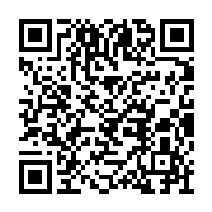 冷静的司徒启建这时候的态度却是非常的不耐烦二维码生成