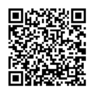 净化者的武器上却有专属的指纹和血液鉴定系统二维码生成