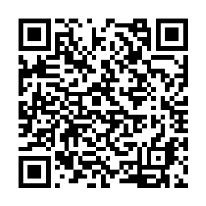 准备了一大堆说辞的徐妈妈这一下就说不出话来了二维码生成