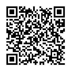 准备以后就算打死也不让苗毅知道自己的真实身份二维码生成