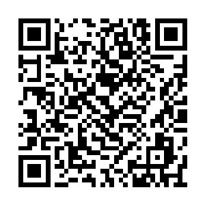 准备去参加被他们父辈千叮咛万嘱咐的一次宴会二维码生成