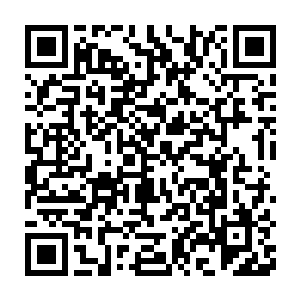 准备听听台上站的这个连红领巾都没有的男孩子到底是要唱什么歌二维码生成