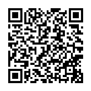 准备多时的雷曼和另外一名传奇巫师终于开始了他们的反攻二维码生成
