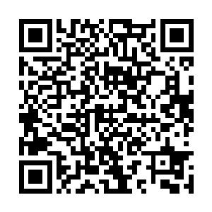 准备完东西龙傲天就开始和萧逸老哥一起布置起来二维码生成