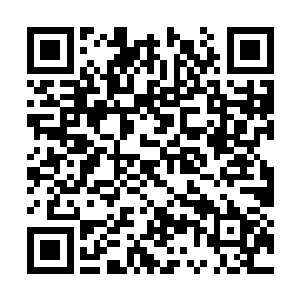 准备宣布这场关于紫树凡界归属权争夺的具体规则二维码生成