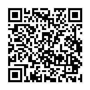 准备对这幻形妖和那些之前被楚旬在战场上抓入神国二维码生成