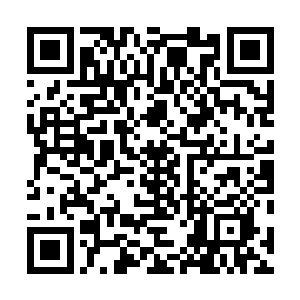 准备将手探入奶牛的衣服内与大白兔来一个零距离接触时二维码生成