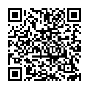 准备就绪的一营华夏革命军开始疯狂的发动了手榴弹攻势二维码生成