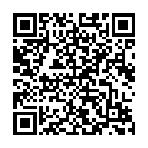 准备把这个不知道天高地厚的小秃崽子举起来丢进这一丈渊二维码生成