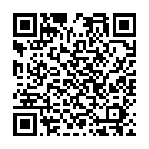 准备拿巨大的象牙挑翻云峥队伍中唯一的一头成年公象二维码生成