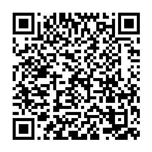 准备放弃守城与温桥府大军面对面大战一场的西河派将士们也都呆了二维码生成