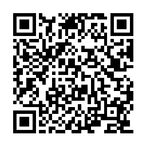 准备让校盗跟随商务机前往布桑加岛或者普吉岛二维码生成