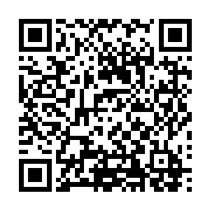 准备许久的特勤人员就已经来到了飞机的边上负责起了警备二维码生成