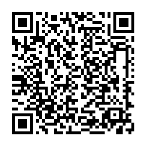 准备阶段是不可以私斗和伤害其他参与者的……你怎么可以做到这一点的二维码生成