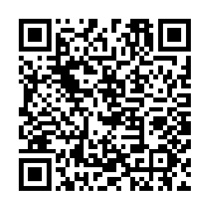 准备随时接应在妖魔海内参加猎海大战的四大宗派战队令主二维码生成