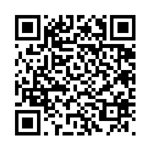 准确地掏出一个核桃大小青色的东西二维码生成