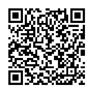 准确的说是融合那条空间元纹的青蛟元纹之中有灵性二维码生成