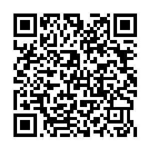 凌乱的心情叫她甚至忘记开车回去可能会快一点二维码生成
