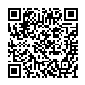 凌予让管家给萨姆在一楼安排了一个单独的房间二维码生成