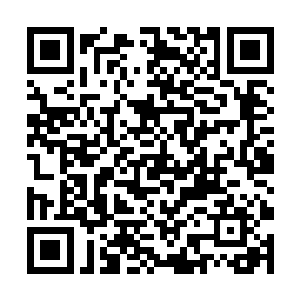 凌云也已经扫荡完了整个后院的百分之七十的石头堆二维码生成