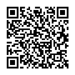 凌云公主那边因为镇南王世子将要启程赶回西陵二维码生成