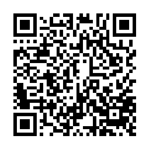 凌云就可以通过手中的银针往患者体内渡入灵气了二维码生成