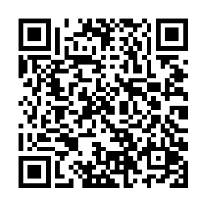 凌云把国旗插上钓龟岛最高峰的时候就已经玩儿过了二维码生成