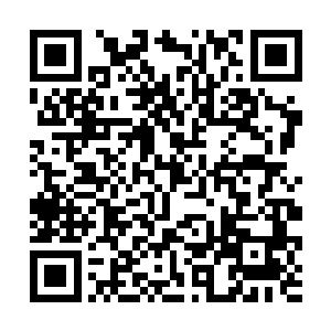 凌云正在目瞪口呆的看着人皇笔切割九彩劫云的时候二维码生成