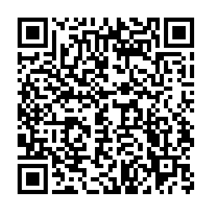 凌云正端坐在自己的座位上在那里惬意无比眉开眼笑的数钱玩儿呢二维码生成