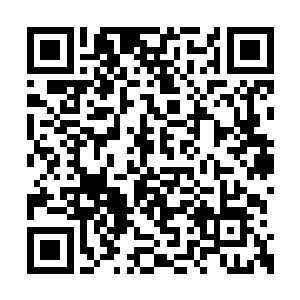 凌云没来到清水湖的时候就远远的看到龙盘山了二维码生成