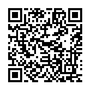 凌云现在已经确认这个世界上有许许多多比自己强大的存在了二维码生成