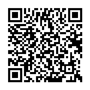 凌云界主立刻操控着分身转头看向了我们的方向二维码生成