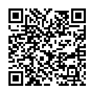 凌云的冥血魔刀和德川的雪亮长刀两两交击在一处二维码生成