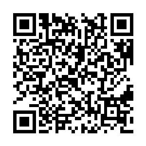 凌云的双拳毫无花俏的对上了孙天彪推出来的双掌二维码生成