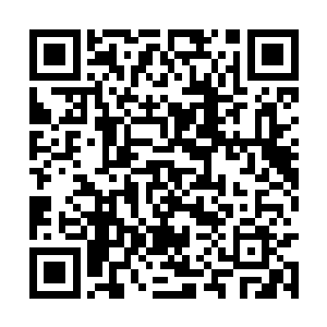 凌傲夫妇和林叶夫妇的目光聚集到了凌雪鹫的身上二维码生成