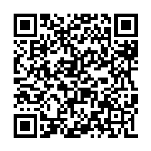 凌兰已经将周围潜伏无数机甲的事情告知了队员二维码生成