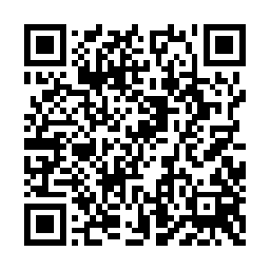 凌兰用轻描淡写且冷静的口吻说着这可怕的后果二维码生成