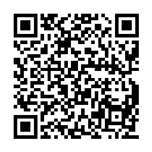 凌天一行十三个人便是大摇大摆的出现在了这里二维码生成