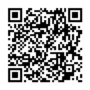 凌天侯也贡献出了他的凌天卫和十辆古神灵战车二维码生成