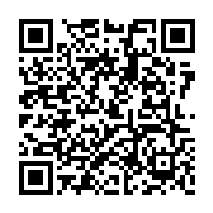 凌天在心底默默的念着这每一个陌生无比的词语二维码生成