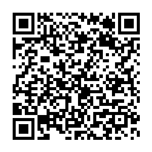 凌家家主凌莫剑以及诸多天神境长老皆是脸色阴沉之极的站在凌家中二维码生成