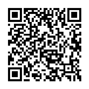 凌彩衣突然冒出这个连她自己都感到惊诧的念头二维码生成