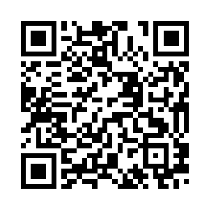 凌浅情和宋辰砂一直飞在小队前方二维码生成