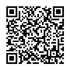 凌海之王强硬而冷酷的声音在松山军府内外回荡着二维码生成