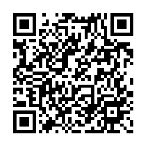 凌海之王没有因为他的话语而有任何退让的意思二维码生成